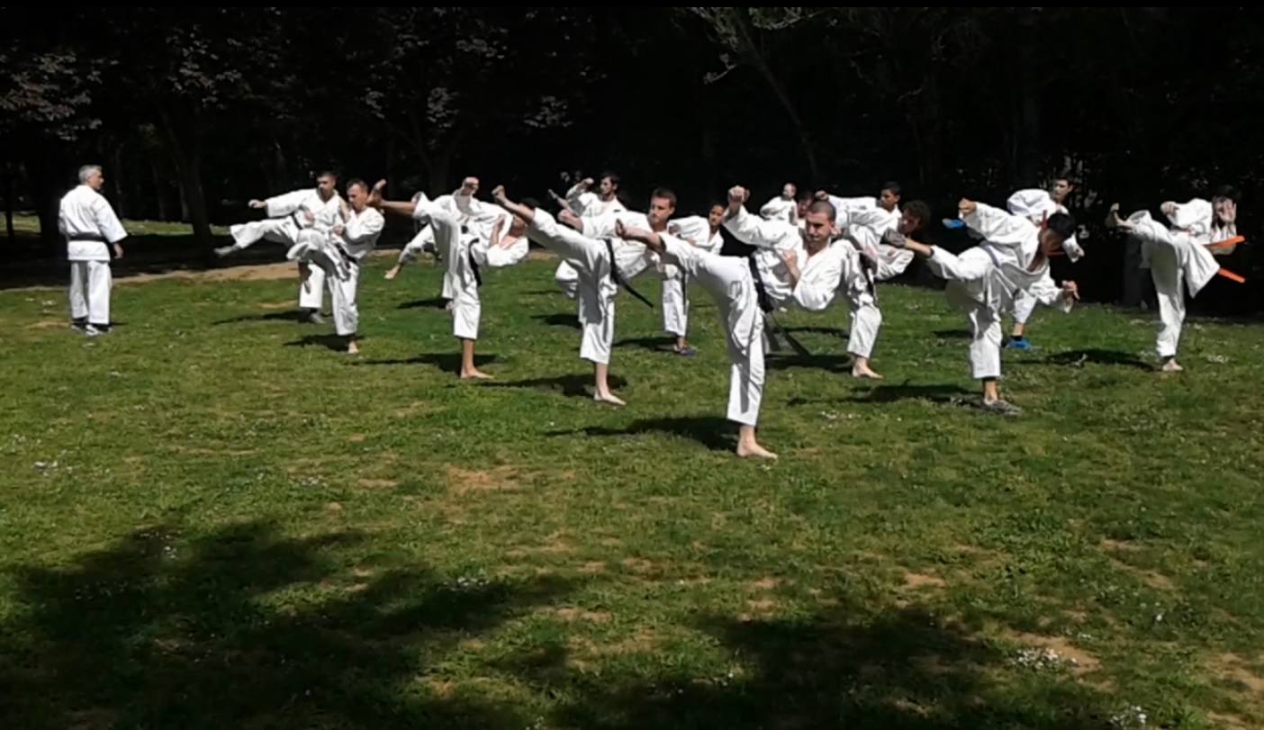 karate 3 - El Ejercicio Físico en beneficio de una vida Plena